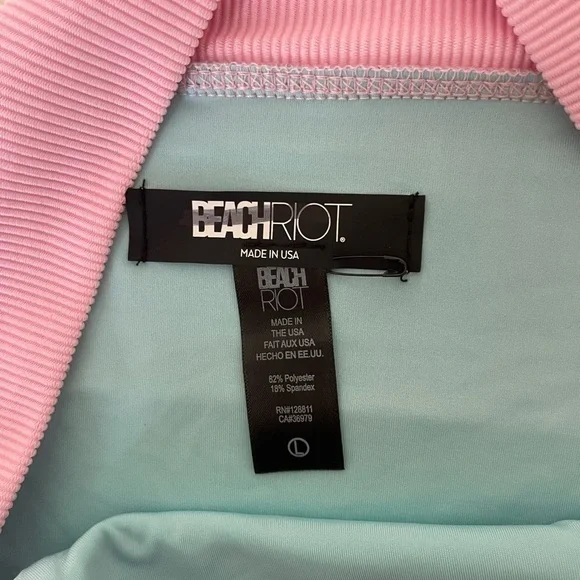 Beach Riot Alexis Pastel Pink and Mint Bikini Bottom